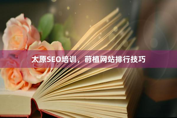 太原SEO培训,莳植网站排行技巧